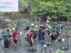 CSR Telkomsel Jaga Bumi bertajuk Satu Pohon Mangrove,  pada hari Sabtu dan Minggu tanggal 31 Mei dan 1 Juni 2025 di Mangrove Center Margomulyo dan Nelayan Berdasi II Balikpapan. Foto: HO/Telkomsel