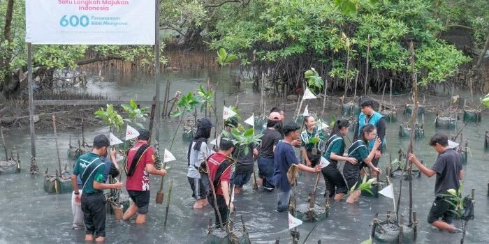 CSR Telkomsel Jaga Bumi bertajuk Satu Pohon Mangrove,  pada hari Sabtu dan Minggu tanggal 31 Mei dan 1 Juni 2025 di Mangrove Center Margomulyo dan Nelayan Berdasi II Balikpapan. Foto: HO/Telkomsel