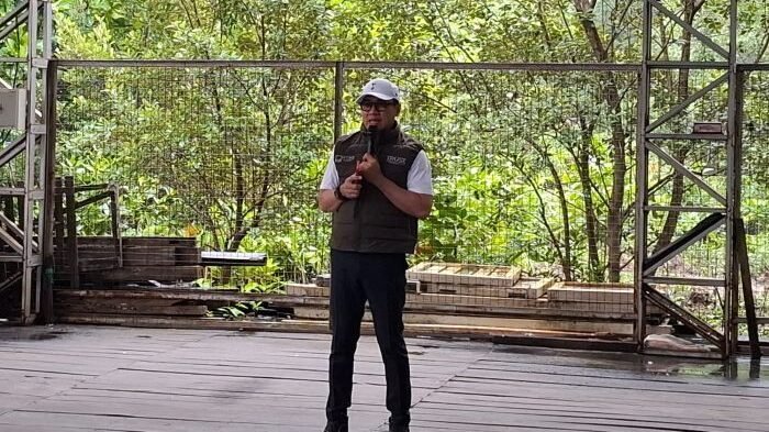 Direktur Utama PTMB, Yudhi Saharuddin saat Kegiatan penanaman bibit mangrove, di Ruang Terbuka Hijau Kawasan Pantai Batu Butok, pada Kamis (19/6/2025). Foto: BorneoFlash/Niken Sulastri