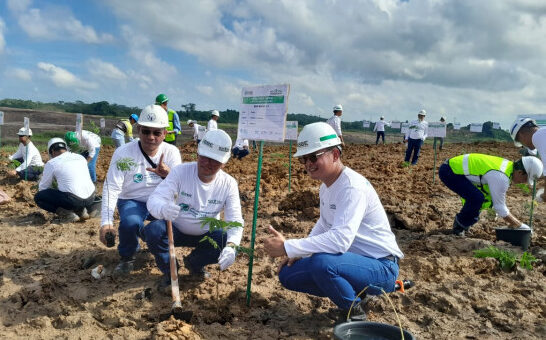 Jajaran Management BBE Group melakukan penanaman pohon di lahan reklamasi yang berada wilayah perbatasan Samarinda dan Kutai Kartanegara, pada Jumat (13/6/2025). Foto: HO/BBE Group