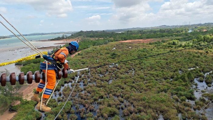 Kegiatan pemeliharaan jaringan transmisi Saluran Udara Tegangan Tinggi (SUTT) 150 kiloVolt (kV) oleh salah satu petugas PLN sebagai bagian dari upaya memastikan keandalan pasokan listrik secara nasional. Foto: HO/PT PLN (Persero)
