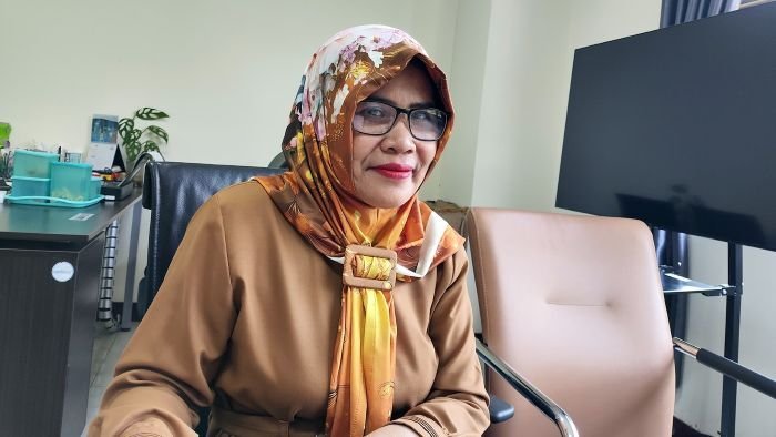 Kepala Bidang Teknologi Komunikasi dan Informatika DKISP Kabupaten Paser, Siti Marnitasari. Foto: HO/Kominfo Paser