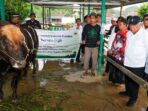 Kepala Otorita IKN, Basuki Hadimuljono, menyerahkan sapi untuk Masjid Nurul Muttaqin di kawasan Bumi Harapan dan Masjid Miftahul Firdaus di Kelurahan Pamaluan sekitar IKN pada Rabu (4/6/2025). Foto: HO/Humas OIKN