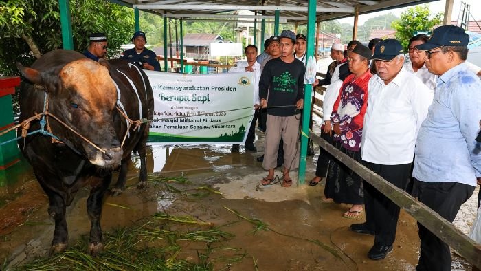 Kepala Otorita IKN, Basuki Hadimuljono, menyerahkan sapi untuk Masjid Nurul Muttaqin di kawasan Bumi Harapan dan Masjid Miftahul Firdaus di Kelurahan Pamaluan sekitar IKN pada Rabu (4/6/2025). Foto: HO/Humas OIKN