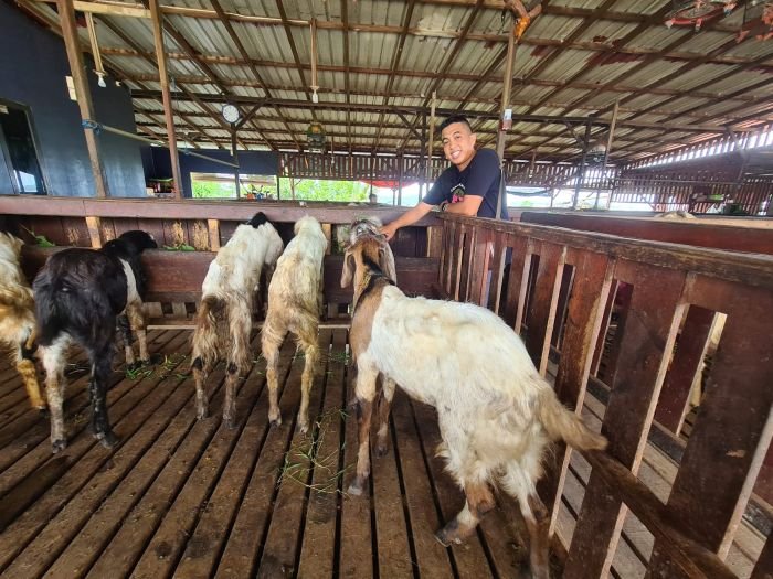 KPB Berbagi Hewan Kurban kepada PWI Balikpapan, Wujud Apresiasi Terhadap Wartawan 