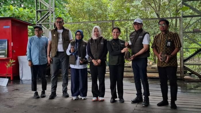 PTMB bersama Enable Project menanam 100 bibit mangrove di Ruang Terbuka Hijau Kawasan Pantai Batu Butok, pada Kamis (19/6/2025). Foto: BorneoFlash/Niken Sulastri