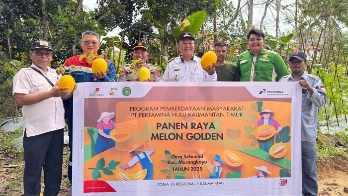 Panen Raya Melon Golden Semi Organik di Desa Sebuntal, Kecamatan Marangkayu, Kabupaten Kutai Kartanegara pada 21 Mei 2025. Foto: HO/PHKT