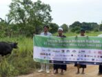 Serah terima hewan kurban dari PT Berau Coal dan mitra kerja kepada masyarakat di sekitar lingkar tambang. Foto: HO/HUMAS BERAU COAL