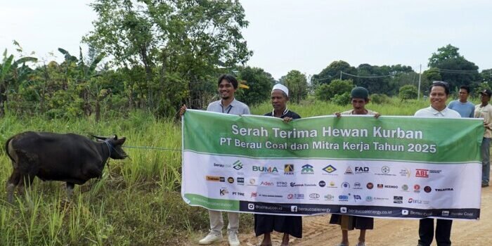 Serah terima hewan kurban dari PT Berau Coal dan mitra kerja kepada masyarakat di sekitar lingkar tambang. Foto: HO/HUMAS BERAU COAL
