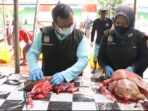 Tim dari DKP3 Balikpapan saat melakukan pemeriksaan hewan kurban hari raya iduladha 1446 Hijriah. Foto: BorneoFlash/Ardian