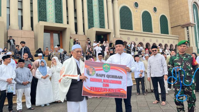 Pemprov Kaltim Salurkan 21 Sapi Kurban Melalui Islamic Center Samarinda