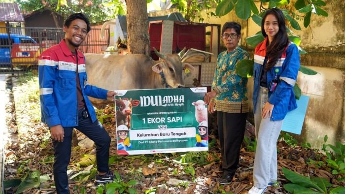 KPB menyalurkan sebanyak 36 ekor hewan kurban kepada masyarakat di sekitar Proyek RDMP Balikpapan dan Lawe-Lawe. Foto: HO/Humas KPB KPB menyalurkan sebanyak 36 ekor hewan kurban kepada masyarakat di sekitar Proyek RDMP Balikpapan dan Lawe-Lawe. Foto: HO/Humas KPB