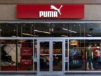 Ilustrasi Puma. foto/IStockphoto