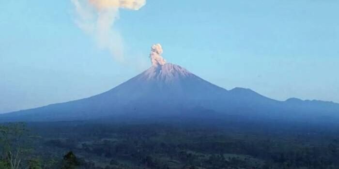 Gunung Semeru Erupsi Lima Kali, Kolom Abu Capai 1.000 Meter