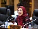 Ketua Komisi X DPR RI Hetifah Sjaifudian. FOTO : ANTARA/HO-Humas DPR RI.