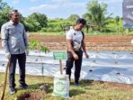 Sekda Kabupaten Paser, Katsul Wijaya, saat melakukan penanaman bibit pohon dan penyebaran benih ikan di Sarana Asimilasi dan Edukasi (SAE) Rutan Kelas 2B Tanah Grogot, Kabupaten Paser, Kalimantan Timur, Jumat (4/7/2025). Foto: BorneoFlash/Joe