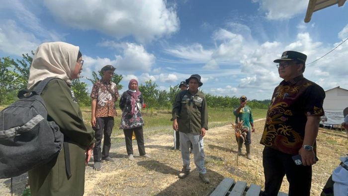 Wakil Wali Kota Balikpapan, H. Bagus Susetyo, saat meninjau kelompok tani lokal, di kawasan Gunung Binjai, pada hari Rabu (3/7/2025). Foto: BorneoFlash/Niken Sulastri