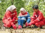 Aksi penanaman 600 bibit mangrove di kawasan Ekowisata Mangrove Kampung Baru, Kabupaten Penajam Paser Utara (PPU), pada Jumat (15/8/2025). Foto: HO/KPB
