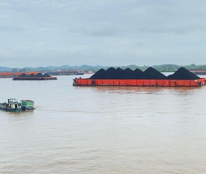 DLH Kaltim Soroti Pencemaran Lingkungan dari Aktivitas Bongkar Muat Batu Bara di Laut