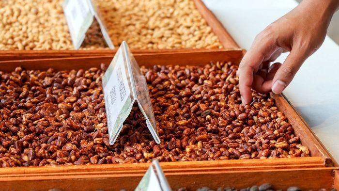 Biji-biji kopi liberika yang melalui berbagai tahap pemrosesan dipamerkan di Nusantara Liberica Coffee Exhibition. Foto: HO/Humas Otorita IKN