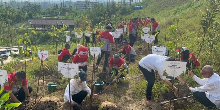 Penanaman pohon Jalur Nugraha Ekakurir (JNE) Bersama Otorita IKN, di kawasan Taman Kusuma Bangsa, pada Rabu (27/8/2025). Foto: BorneoFlash/Niken Sulastri