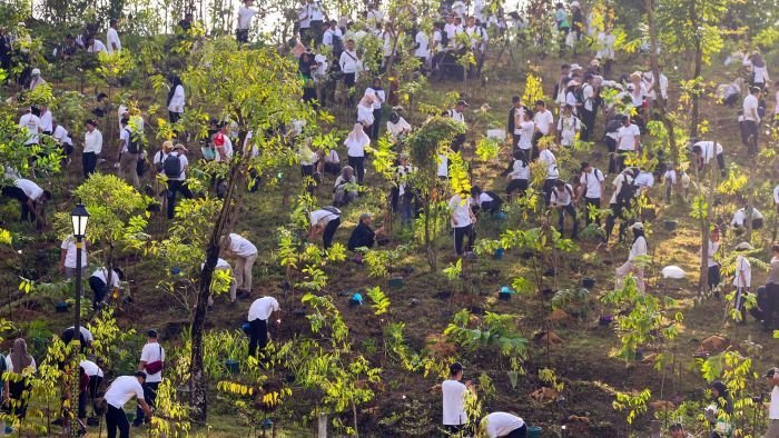 Kegiatan penanaman pohon di kawasan Embung C ASN 2, Kawasan Inti Pusat Pemerintahan (KIPP) IKN, pada Jumat (15/8/2025). Foto: HO/Humas Otorita IKN