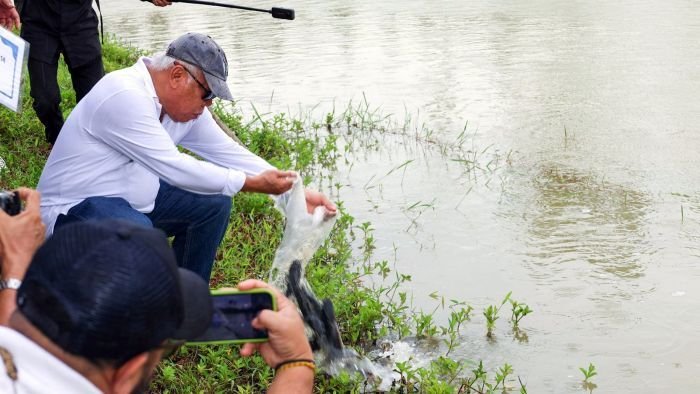 Kepala Otorita IKN menebar benih ikan lele dalam agenda penebaran benih ikan bersama Himpunan Alumni Perguruan Tinggi Kaltim. Foto: HO/Humas Otorita IKN
