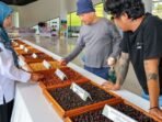Otorita IKN menggelar Nusantara Liberica Coffee Exhibition, ajang yang mempertemukan petani, peracik, penikmat kopi, dan masyarakat umum pada Sabtu, (9/8/2025). Foto: HO/Humas Otorita IKN