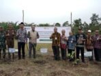 PLN UIP KLT menanam 1.000 bibit pohon aren di Desa Tepian Batang, Kabupaten Paser, pada Kamis (21/8/2025). Foto: HO/PLN UIP KLT