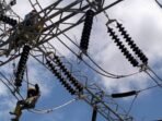 PT PLN UIP KLT berhasil menyalurkan tegangan pada Extension 2 Line Bay Gardu Induk (GI) 150 kV Maloy menuju GI Talisayan. Foto: HO/PLN UIP KLT