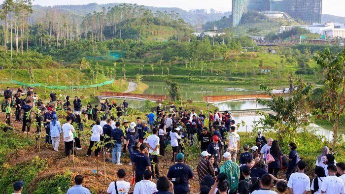 Ratusan anggota Indonesian Diaspora Network (IDN) Global bersama Otorita IKN menggelar aksi penanaman pohon di kawasan Embung MBH, pada Kamis (31/7/2025). Foto: HO/Humas Otorita IKN
