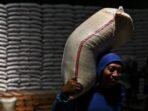 Ilustrasi - Pekerja mengangkut beras saat bongkar muat di gudang Bulog Cabang Cirebon, Jawa Barat, Rabu (6/8/2025). FOTO : ANTARA FOTO/Hafidz Mubarak A/rwa/pri.