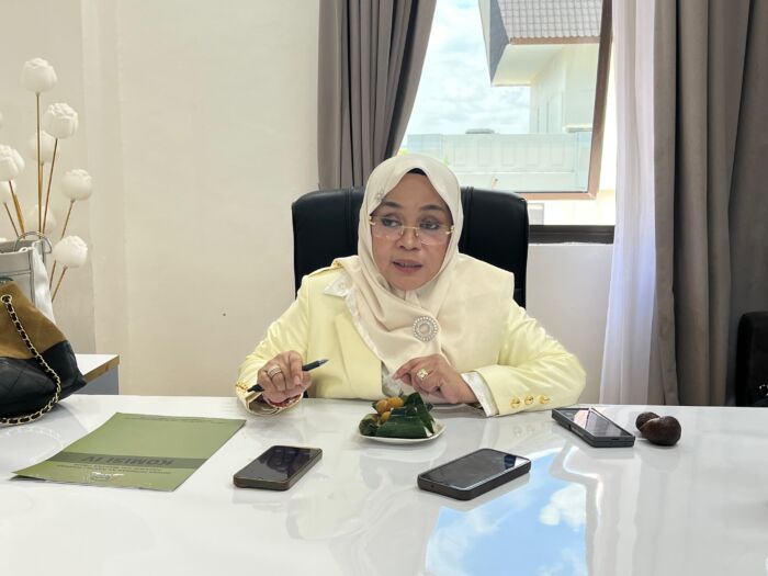 Syahariah Mas’ud Dorong Pembangunan Rumah Sakit Layak di Penajam Paser Utara