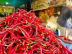 Pedas Bukan Main! Harga Cabai Merah di Aceh Barat Tembus Rp90 Ribu/kg. Foto:ANTARA/Teuku Dedi Iskandar