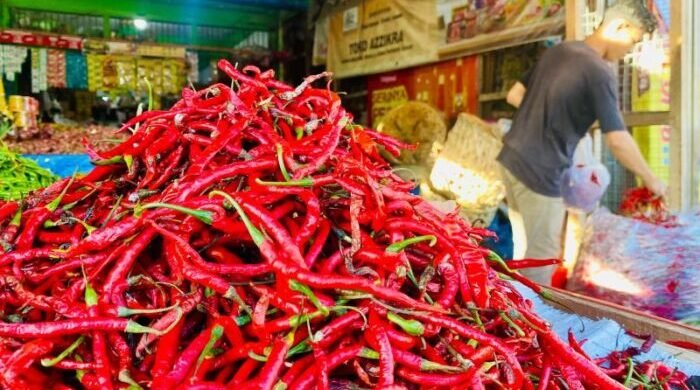 Pedas Bukan Main! Harga Cabai Merah di Aceh Barat Tembus Rp90 Ribu/kg. Foto:ANTARA/Teuku Dedi Iskandar