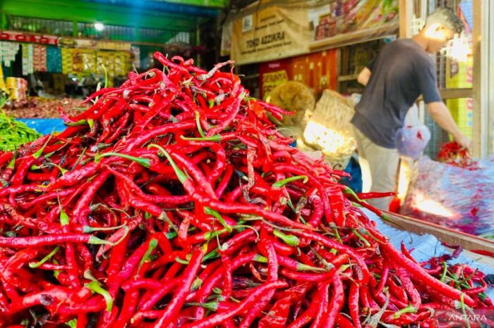 Pedas Bukan Main! Harga Cabai Merah di Aceh Barat Tembus Rp90 Ribu/kg
