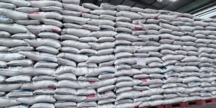 Perkuat Ketahanan Pangan, Bulog Ekspansi Gudang hingga ke Daerah