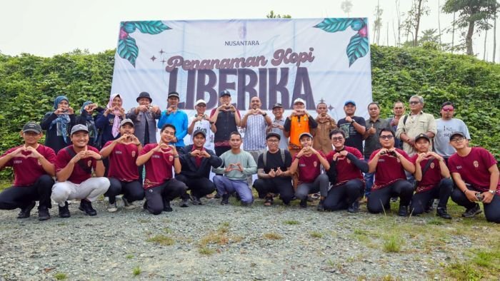 Otorita IKN, Dinas Perkebunan Kalimantan Timur, Petani, serta Mitra IKN melakukan penanaman dan webinar kopi liberika di Embung MBH dilanjutkan webinar di Kemenko 3 KIPP IKN, pada Rabu (01/10/2025). Foto: HO/Humas Otorita IKN