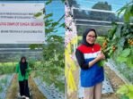 PEP Sangasanga Field terus mengembangkan program tanggung jawab sosial dan lingkungan atau CSR di bidang kesehatan PEP Sangasanga Field terus mengembangkan program tanggung jawab sosial dan lingkungan atau CSR di bidang kesehatan, berupa Program Kesehatan Masyarakat Terpadu Menuju Sejahtera yang disingkat PROKESMAS PUJA. Foto: HO/PEP Sangasanga Field