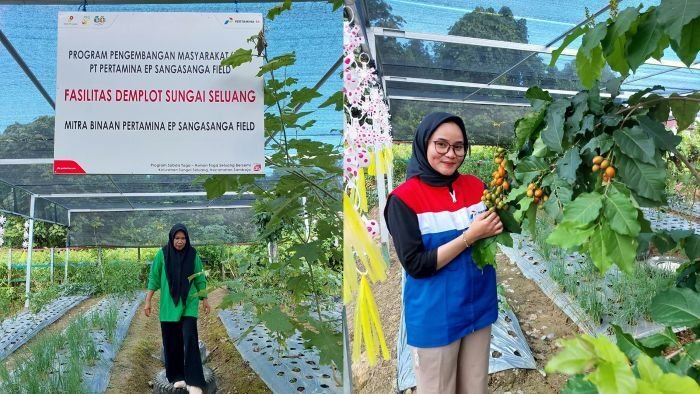 PEP Sangasanga Field terus mengembangkan program tanggung jawab sosial dan lingkungan atau CSR di bidang kesehatan PEP Sangasanga Field terus mengembangkan program tanggung jawab sosial dan lingkungan atau CSR di bidang kesehatan, berupa Program Kesehatan Masyarakat Terpadu Menuju Sejahtera yang disingkat PROKESMAS PUJA. Foto: HO/PEP Sangasanga Field