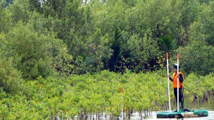 PHM berbagi pengalaman dan praktik terbaik (best practice) bertajuk “Upaya dan Tantangan Perlindungan dan Rehabilitasi Mangrove”. Foto: HO/PHM