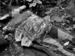 Seorang pendaki asal Balikpapan meninggal dunia saat melakukan kegiatan hiking di kawasan wisata Air Terjun Doyam Sondong, Desa Pinang Jatus, Kecamatan Long Kali, Kabupaten Paser, pada Sabtu malam (4/10/2025). Foto: HO/Polsek Longkali