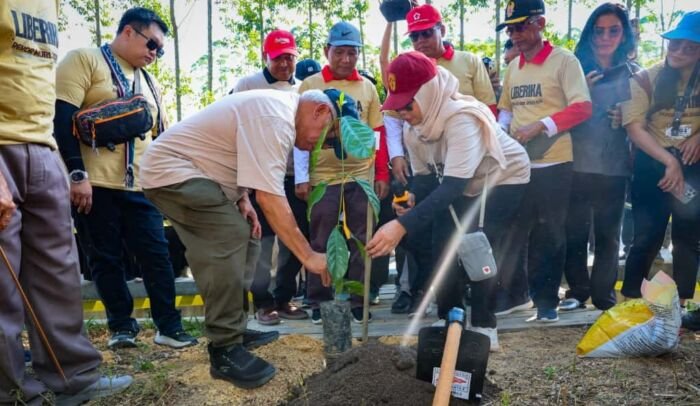 Tanam 1.010 Pohon Liberika, Otorita IKN Raih Rekor Dunia MURI dan Teguhkan Semangat Hijau Nusantara