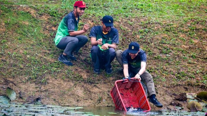Sejumlah 500 kilogram ikan air tawar ditebar oleh Otorita IKN di Embung H, KIPP Nusantara, Jumat (17/10/2025). Foto: HO/Humas Otorita IKN