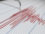 Ilustrasi. Seismograf