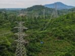 PT PLN (Persero) Unit Induk Distribusi Kalimantan Timur dan Kalimantan Utara (UID Kaltimra) meresmikan beroperasinya dua infrastruktur penting, yaitu Saluran Udara Tegangan Tinggi (SUTT) 150 kV Maloy–Talisayan dan SUTT 150 kV Talisayan–Tanjung Redeb. Foto: HO/PLN UID Kaltimra