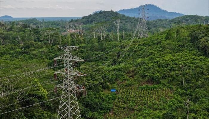 PT PLN (Persero) Unit Induk Distribusi Kalimantan Timur dan Kalimantan Utara (UID Kaltimra) meresmikan beroperasinya dua infrastruktur penting, yaitu Saluran Udara Tegangan Tinggi (SUTT) 150 kV Maloy–Talisayan dan SUTT 150 kV Talisayan–Tanjung Redeb. Foto: HO/PLN UID Kaltimra