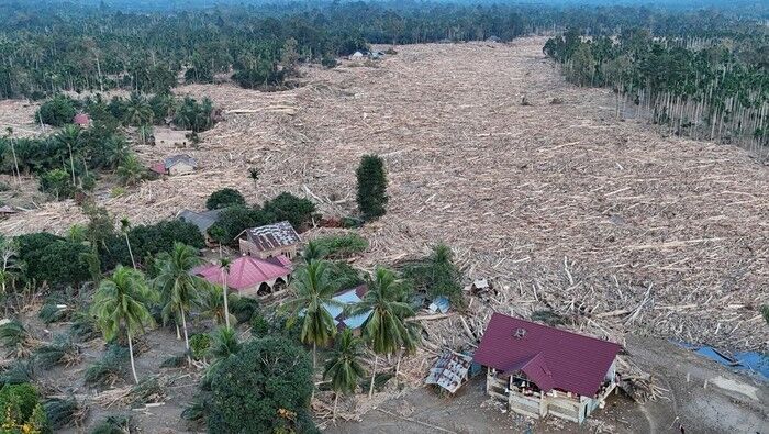 Belajar dari Banjir di Sumatera dan Aceh, Saatnya Kaltim Lebih Serius Menjaga Lingkungan