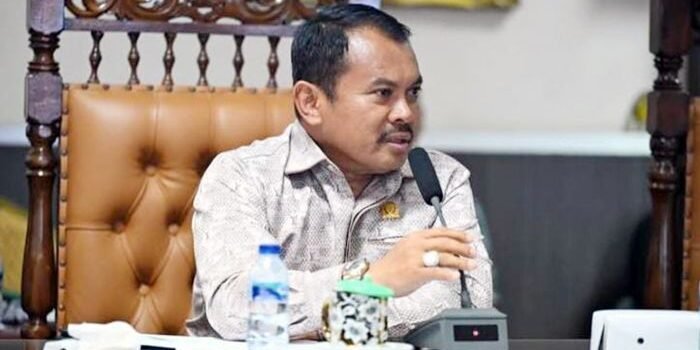 Wakil Ketua II DPRD PPU, Andi Muhammad Yusuf. Foto: BorneoFlash/IST