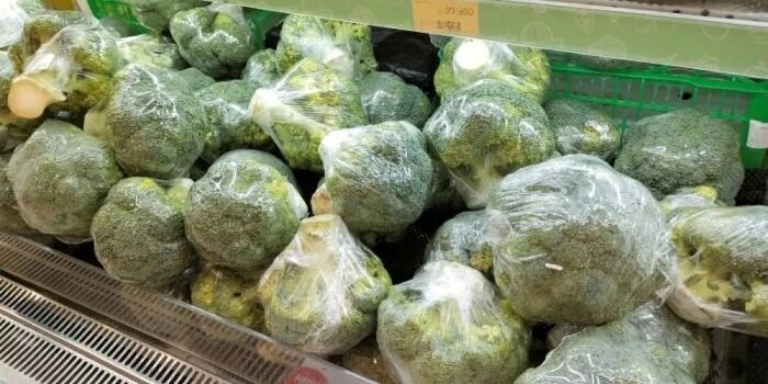 Manfaat Brokoli: Lindungi Otak dari Peradangan dan Tingkatkan Daya Ingat